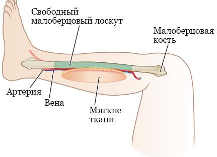 Как получить рецепт на молочную кухню через Госуслуги: как прикрепится, пошаговая инструкция
