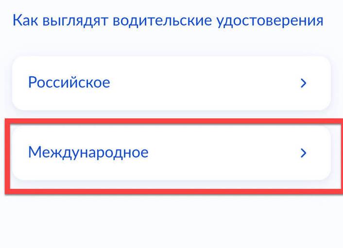 Получение международного водительского удостоверения через Госуслуги